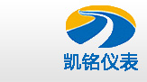 金湖91香蕉在线视频仪表有限公司LOGO